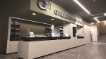 GALLERIA GIANNONI - Chiusura straordinaria GALLERIA GIANNONI - Chiusura straordinaria